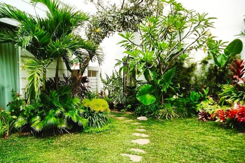 Mewujudkan Taman Modern yang Elegan untuk Hunian Anda