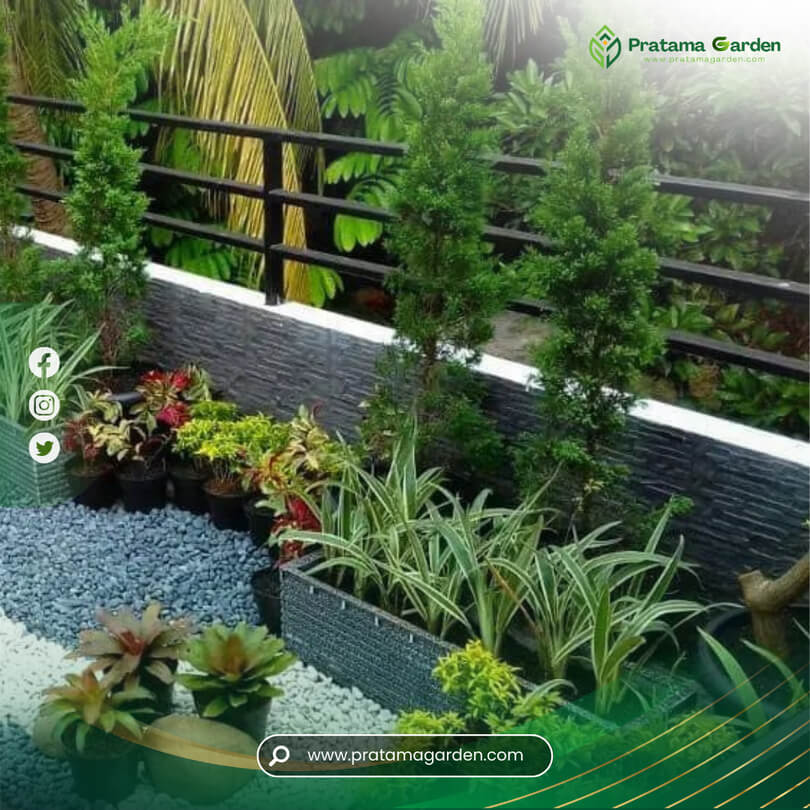 Jual Media Tanam & Rumput
